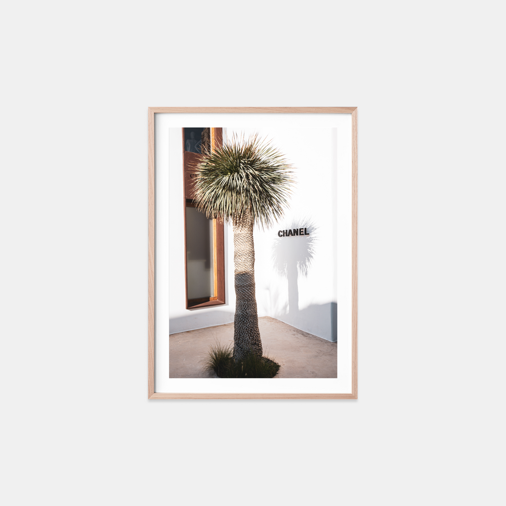 Chanel’s Palm
