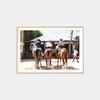 Men On Horseback