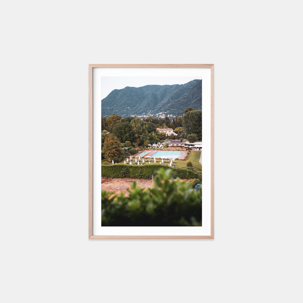 Pool Amidst the Pines II