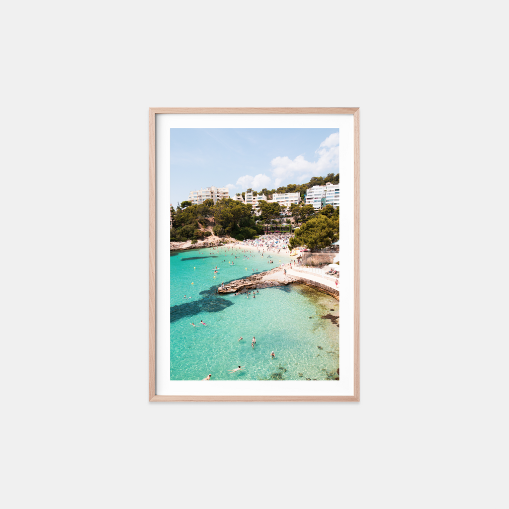 Cove Commotion II