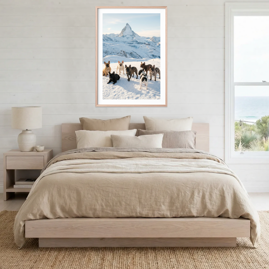 Frenchies of Switzerland