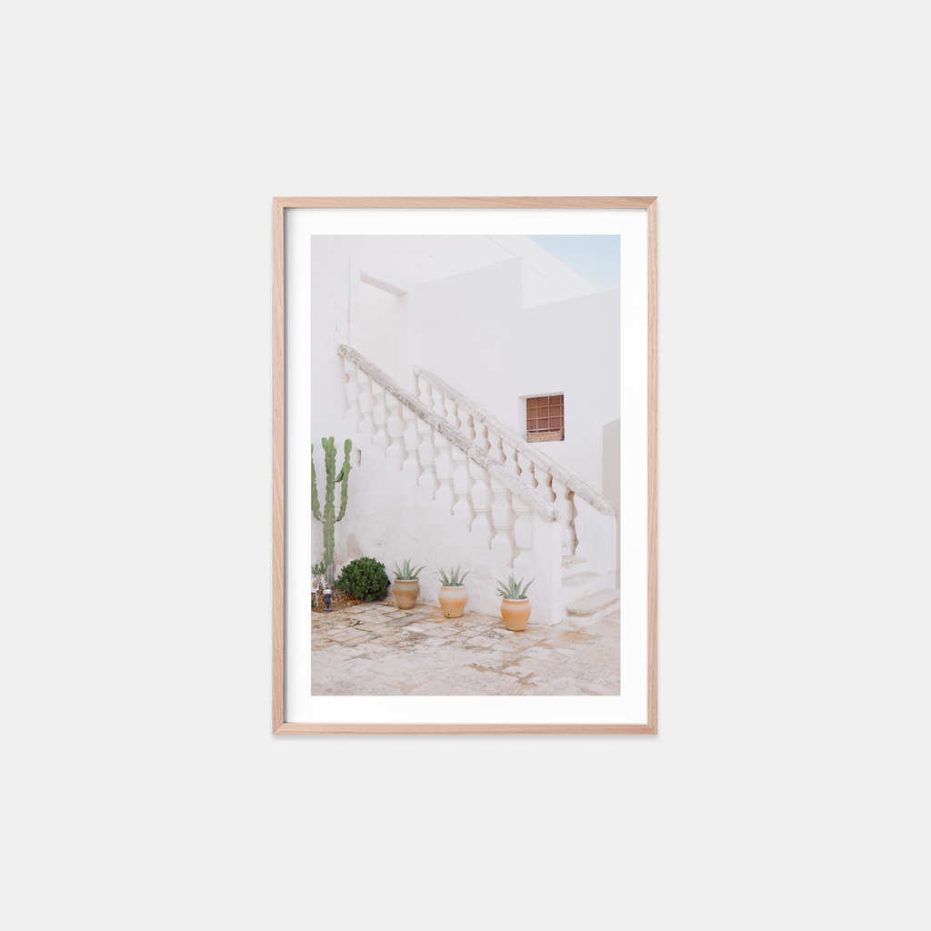 Cactus Stairway