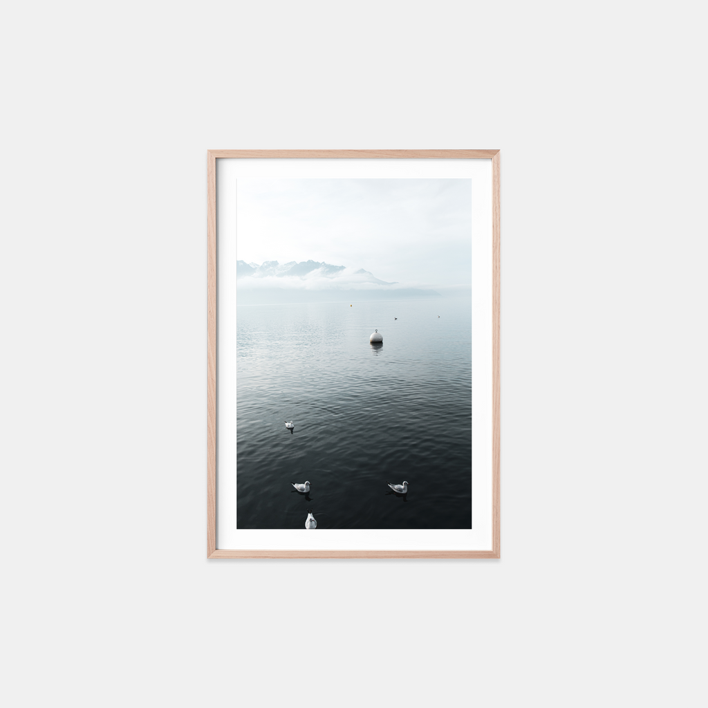 Swiss Bouy